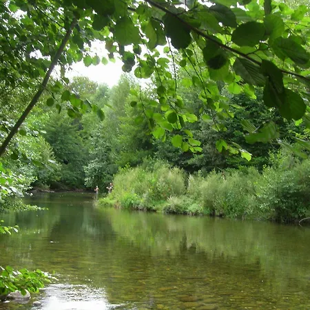 Hotel Trilles Céret
