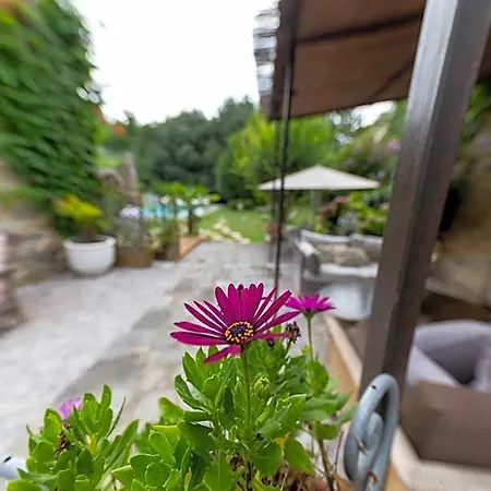 Trilles Otel Céret