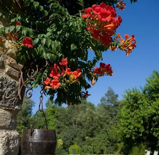 Szálloda Trilles 3*